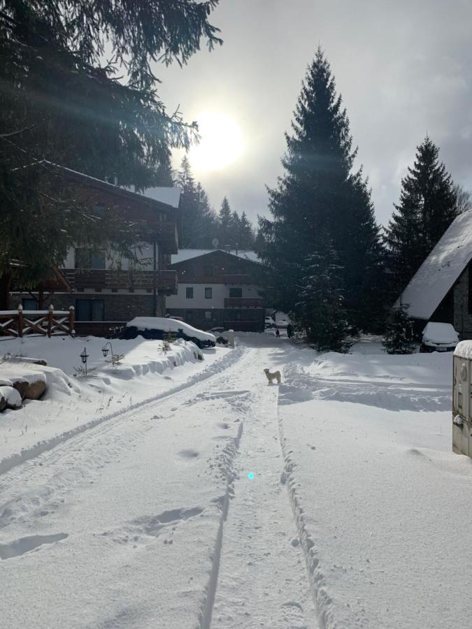 Lucnica Apartments Tale Luaran gambar